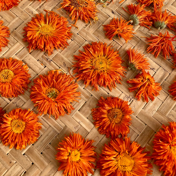 Dried Whole Calendula Flowers